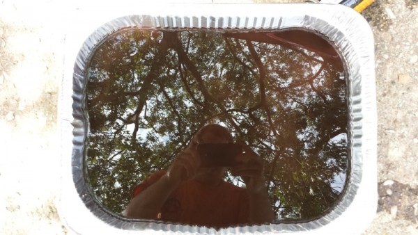 Tranny.jpg (194.93 KiB) Viewed 4635 times Tranny.jpg