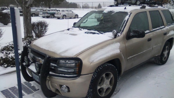 snow12313.jpg