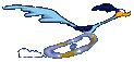 x_roadrun1g.gif