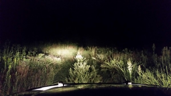 20140829_204023.jpg