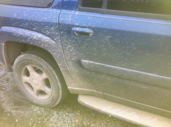 dirty truck 008.jpg