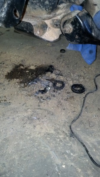 IMG_20150412_185909_310.jpg (959.82 KiB) Viewed 18389 times IMG_20150412_185909_310.jpg