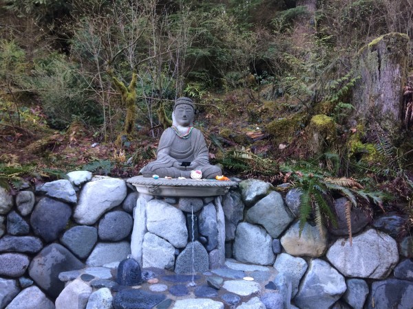 IMG_0436.JPG (3.44 MiB) Viewed 11299 times IMG_0436.JPG